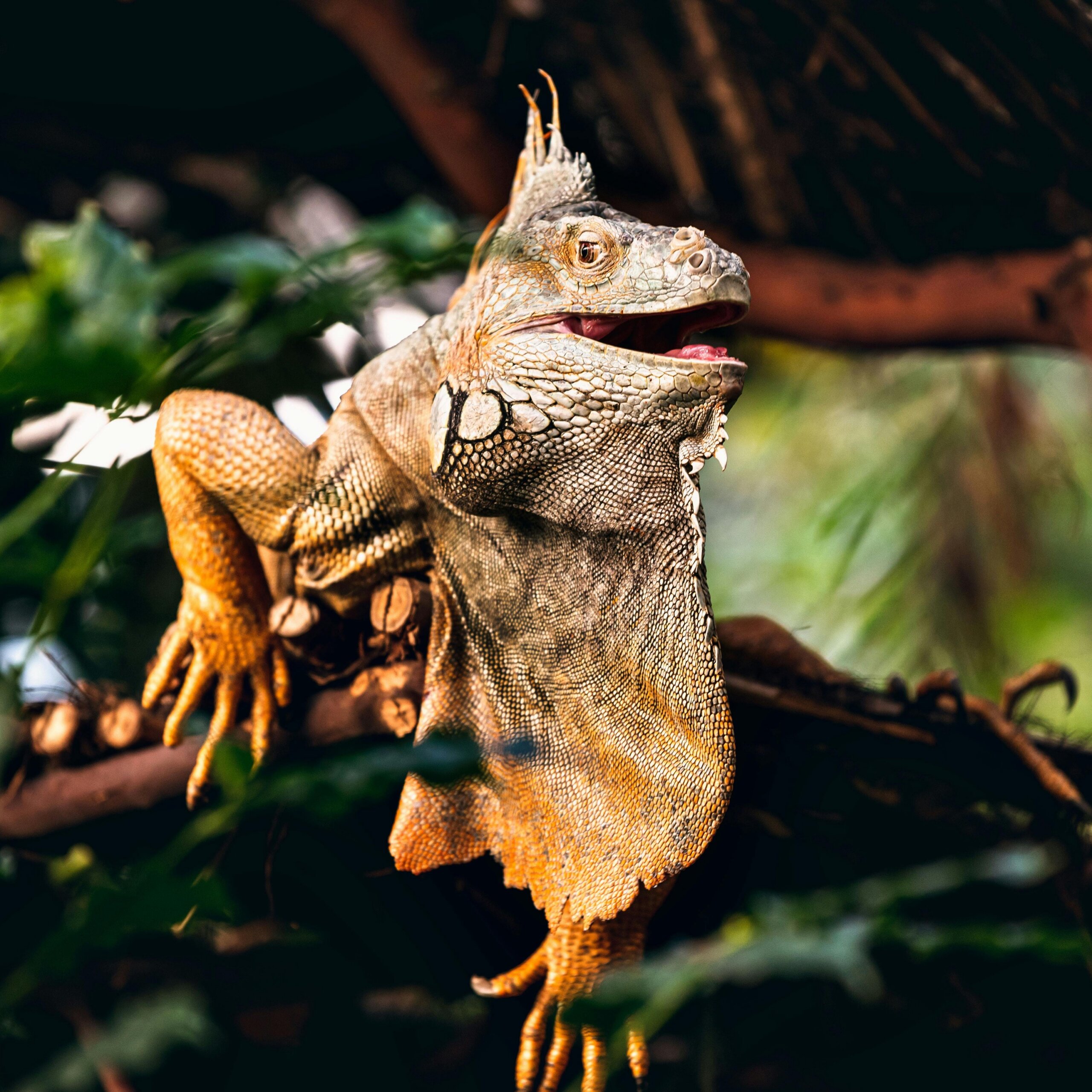 06 Nov 2025 (Q&A) 06 Nov 2025 (Q&A)