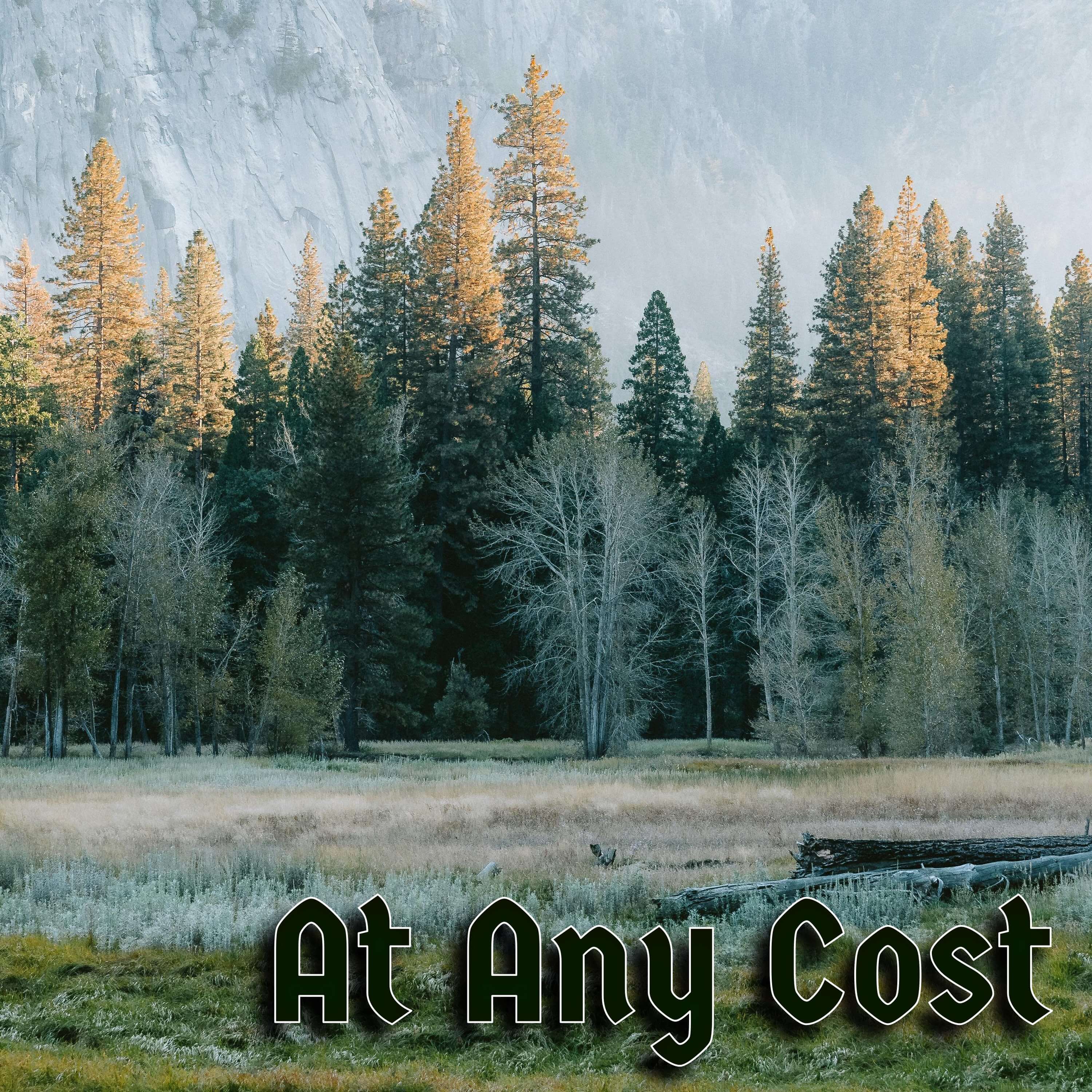 At Any Cost